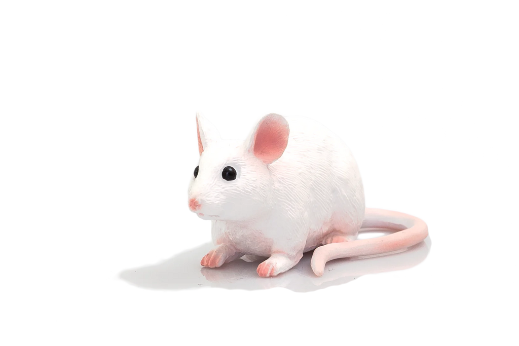 בובת עכבר לבן מבית מוג'ו Mojo