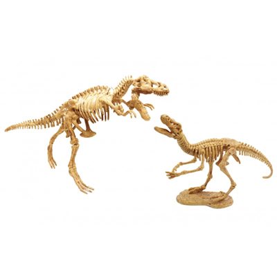 ערכת ארכיאולוגיה לחפירת שלדי דינוזאורים - מבית בוקי צרפת