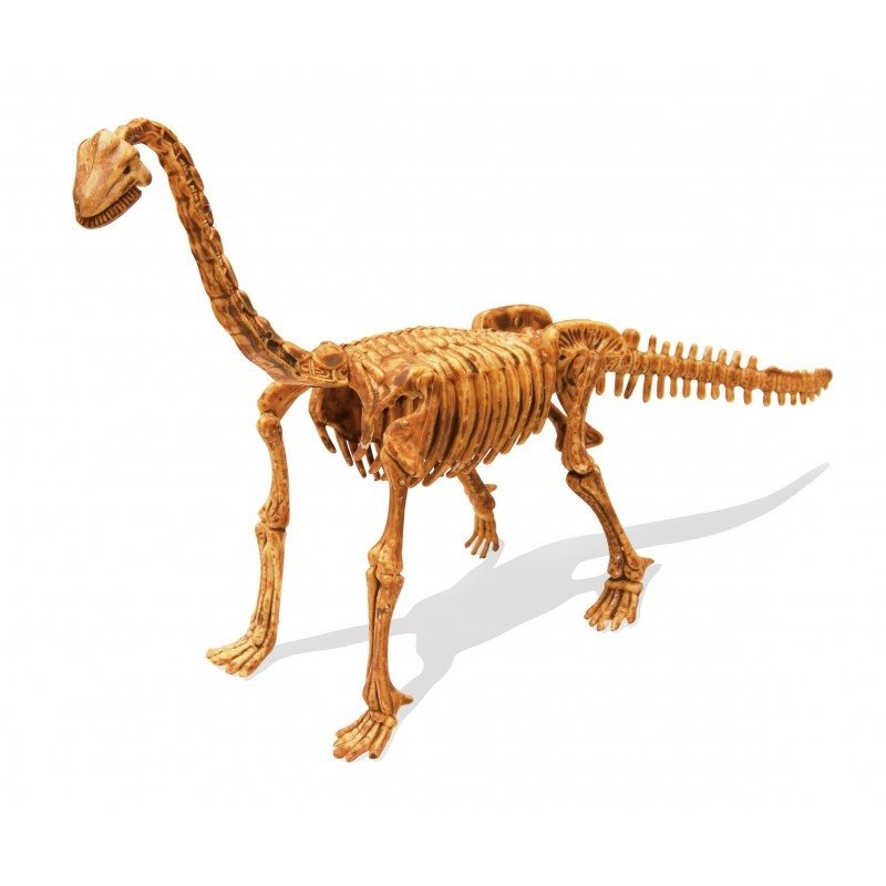 ערכת ארכיאולוגיה לחפירת שלד דינוזאור מסוג ברכיוזאורוס מבית בוקי צרפת 